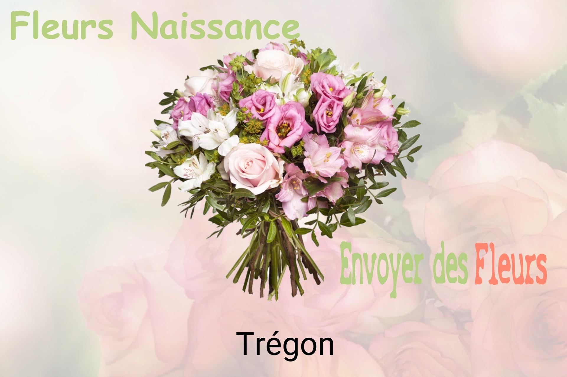 Bouquet de fleurs de naissance livré à Trégon