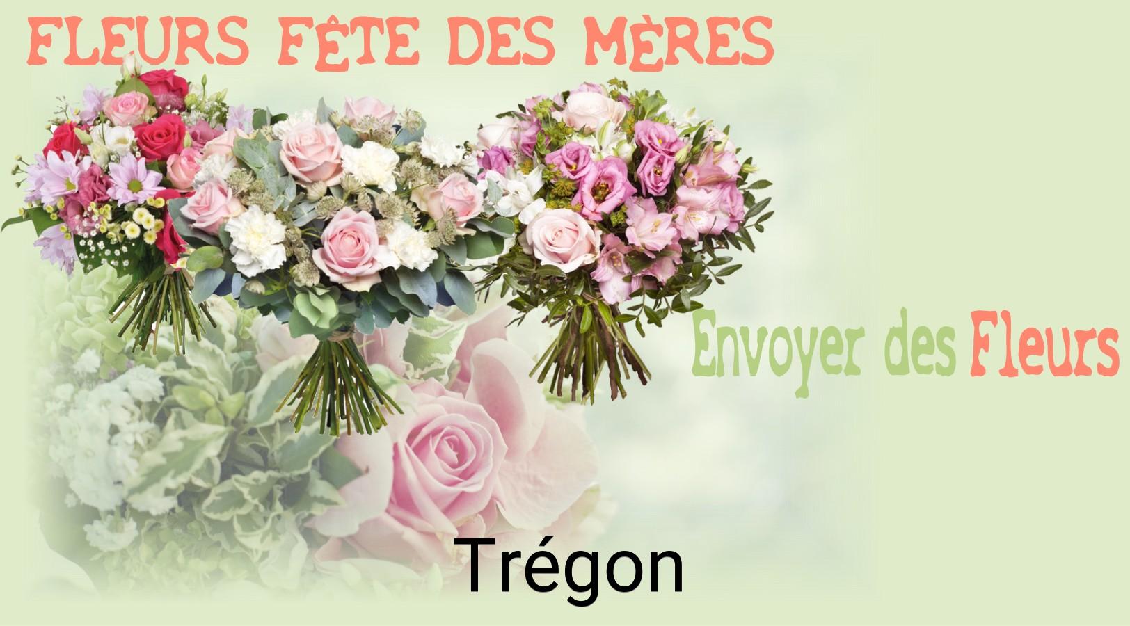 Bouquet de Fête des Mères livré à Trégon